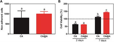 Bioactive cellulose acetate nanofiber loaded with annatto support skeletal muscle cell attachment and proliferation